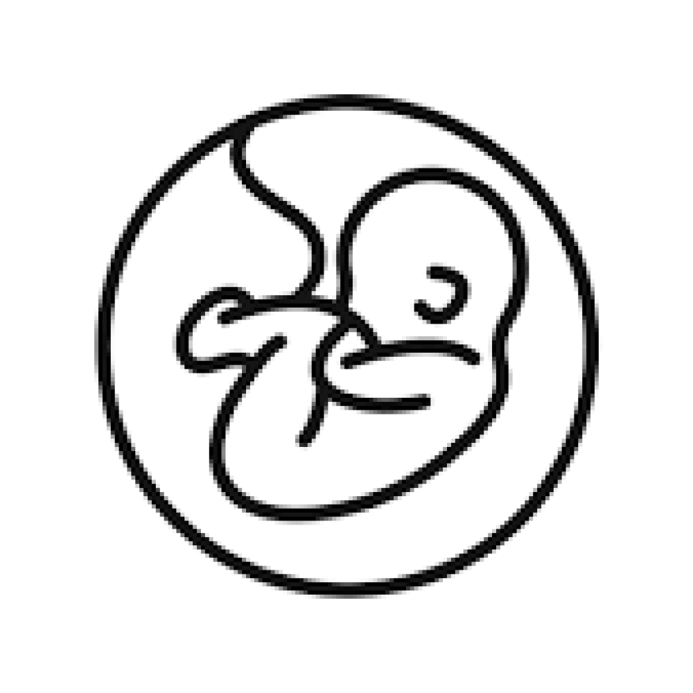 EMBRYO